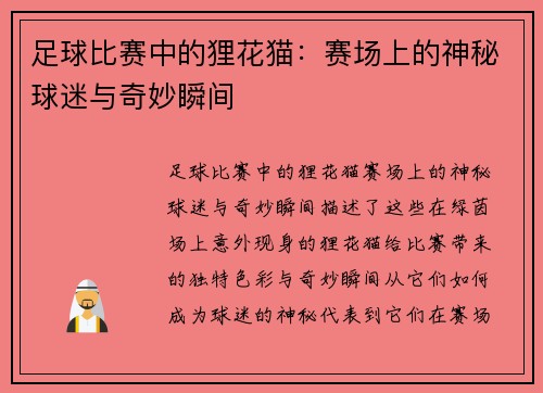 足球比赛中的狸花猫：赛场上的神秘球迷与奇妙瞬间