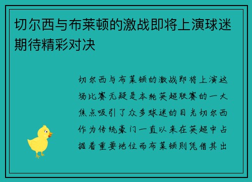 切尔西与布莱顿的激战即将上演球迷期待精彩对决