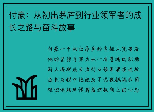 付豪：从初出茅庐到行业领军者的成长之路与奋斗故事
