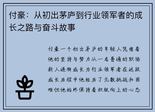 付豪：从初出茅庐到行业领军者的成长之路与奋斗故事