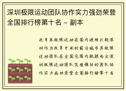 深圳极限运动团队协作实力强劲荣登全国排行榜第十名 - 副本